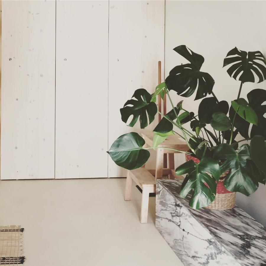 Casasuul Alvor Apartman Kültér fotó